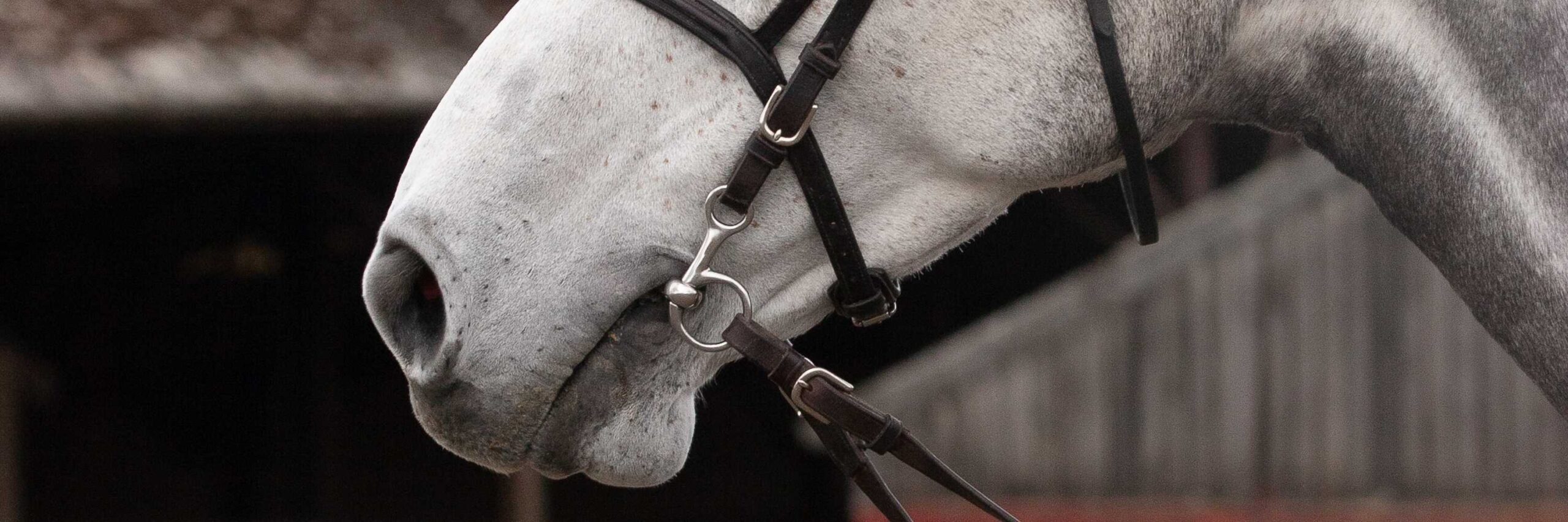 Front Page -RideGear Store banner670 scaled